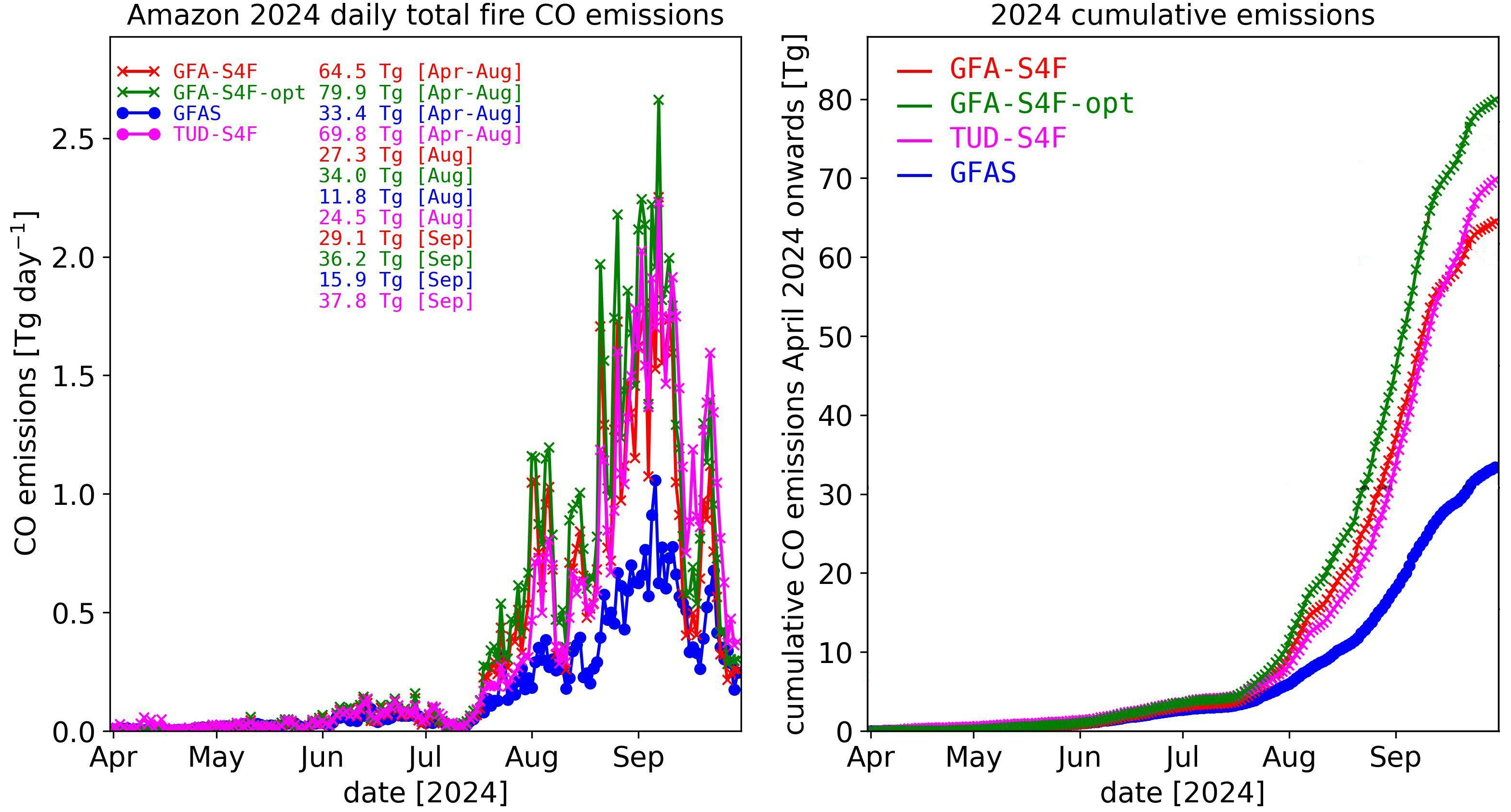 Time series of fire CO emissions in 2024